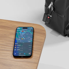 Cygnett Voyager TravelTag - Lucchetto per viaggi sicuri approvato TSA