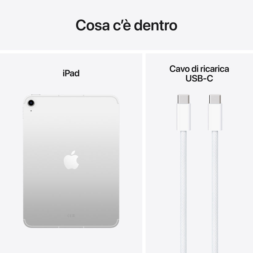 iPad_A16_Cellular_Silver_PDP_Image_Position_8__ITIT