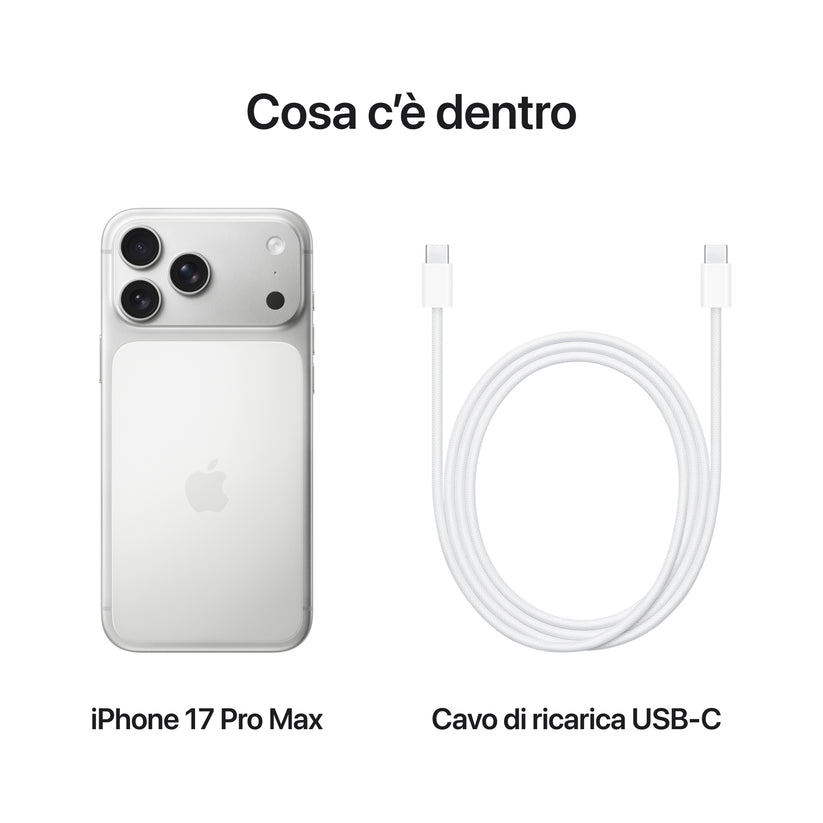 iPhone_17_Pro_Max_Silver_PDP_Image_Position_8__ITIT