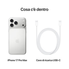 iPhone_17_Pro_Max_Silver_PDP_Image_Position_8__ITIT