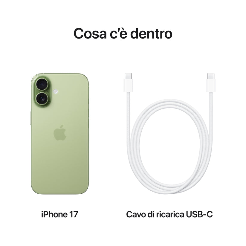 iPhone_17_Sage_PDP_Image_Position_8__ITIT
